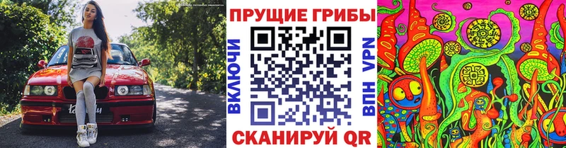 это наркотические препараты кракен сайт Зеленодольск Галлюциногенные грибы прущие грибы